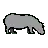 Hippopotamus