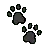 Paw Prints