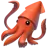 Squid