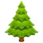 Evergreen Tree