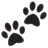 Paw Prints