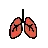 Lungs