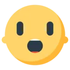 Face With Open Mouth