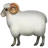 Ram