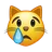 Faccia di gatto che piange
