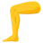 Leg