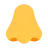 Nose