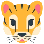 Tiger Face