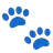 Paw Prints