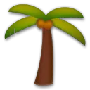 Palm Tree