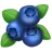 Blueberries