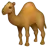 Camel
