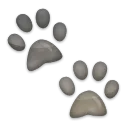 Paw Prints