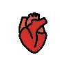 Anatomical Heart Emoji 🫀 image - OpenMoji style
