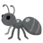 Ant