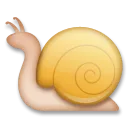 Snail