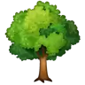 Emoji Foioase 🌳 image - WhatsApp style