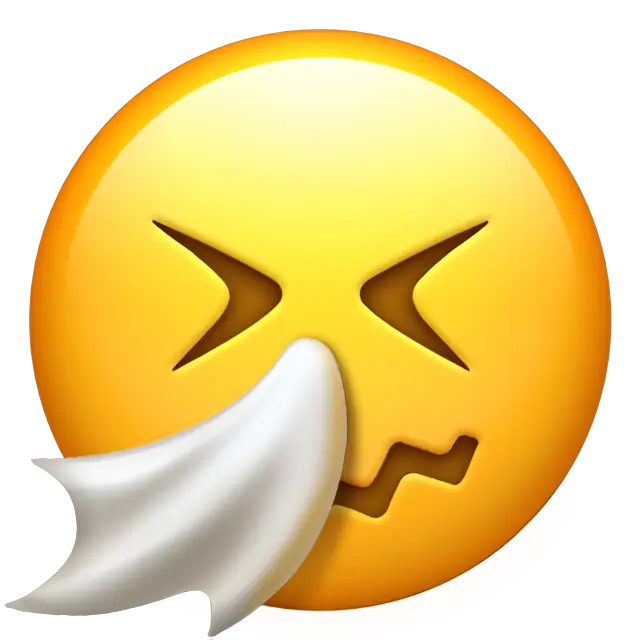 Sneezing Face