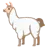 Llama