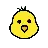 Baby Chick