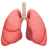 Lungs