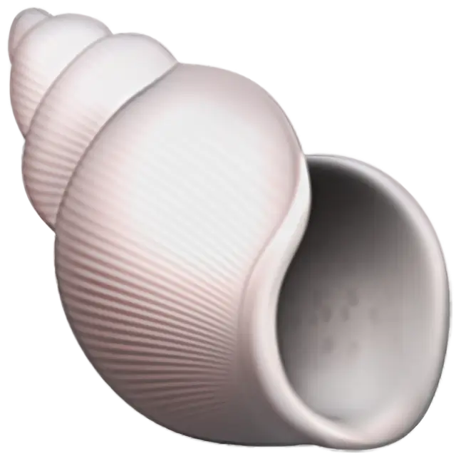 Conchiglia a spirale