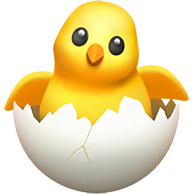 Poussin à l’éclosion