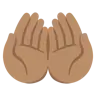 Palms Up Together: Medium Skin Tone Emoji 🤲🏽 image - Google Noto Color style