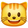 ใบหน้าของแมวยิ้มพร้อมกับอ้าปากค้าง Emoji 😺 image - Samsung style