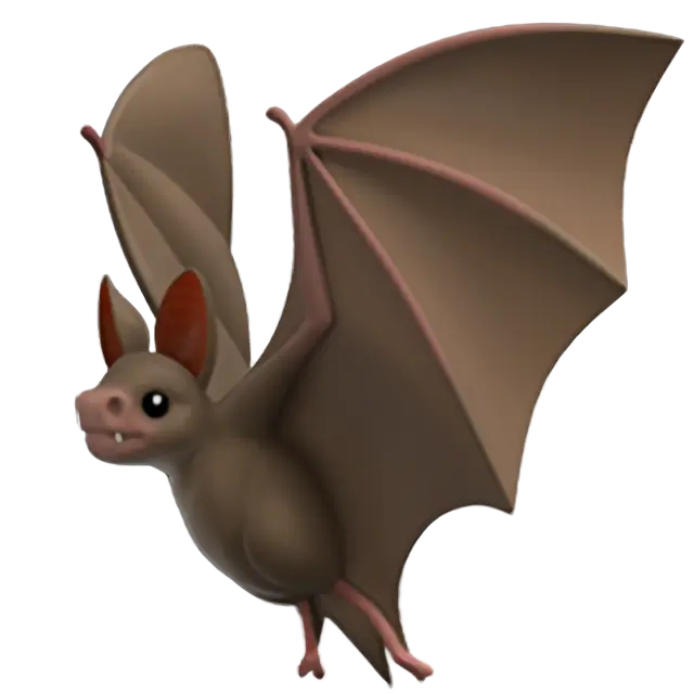 Chauve souris