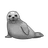 Foca