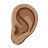 Ear: Medium Skin Tone
