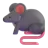 Rat