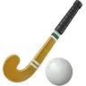 Kij na lodzie i piłka Emoji 🏑 image - Apple style