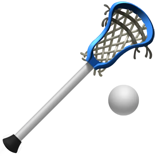 Lacrosse Stick and Ball