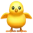 Front-Facing Baby Chick