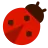 Lady Beetle