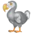 Dodo