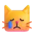 Crying Cat