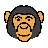 Monkey Face