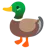 Duck