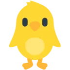 Front-Facing Baby Chick