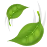 Leaf Fluttering In Wind Emoji 🍃 image - WhatsApp style