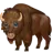 Bison