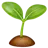 Seedling