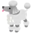 Poodle