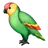 Parrot