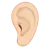 Ear: Light Skin Tone