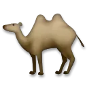 Two-Hump Camel