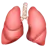 Lungs